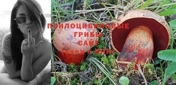 герыч Балахна
