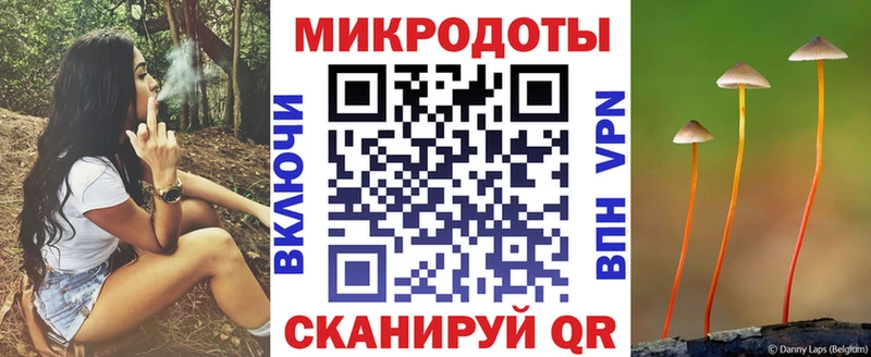 Псилоцибиновые грибы Cubensis  Озёры 